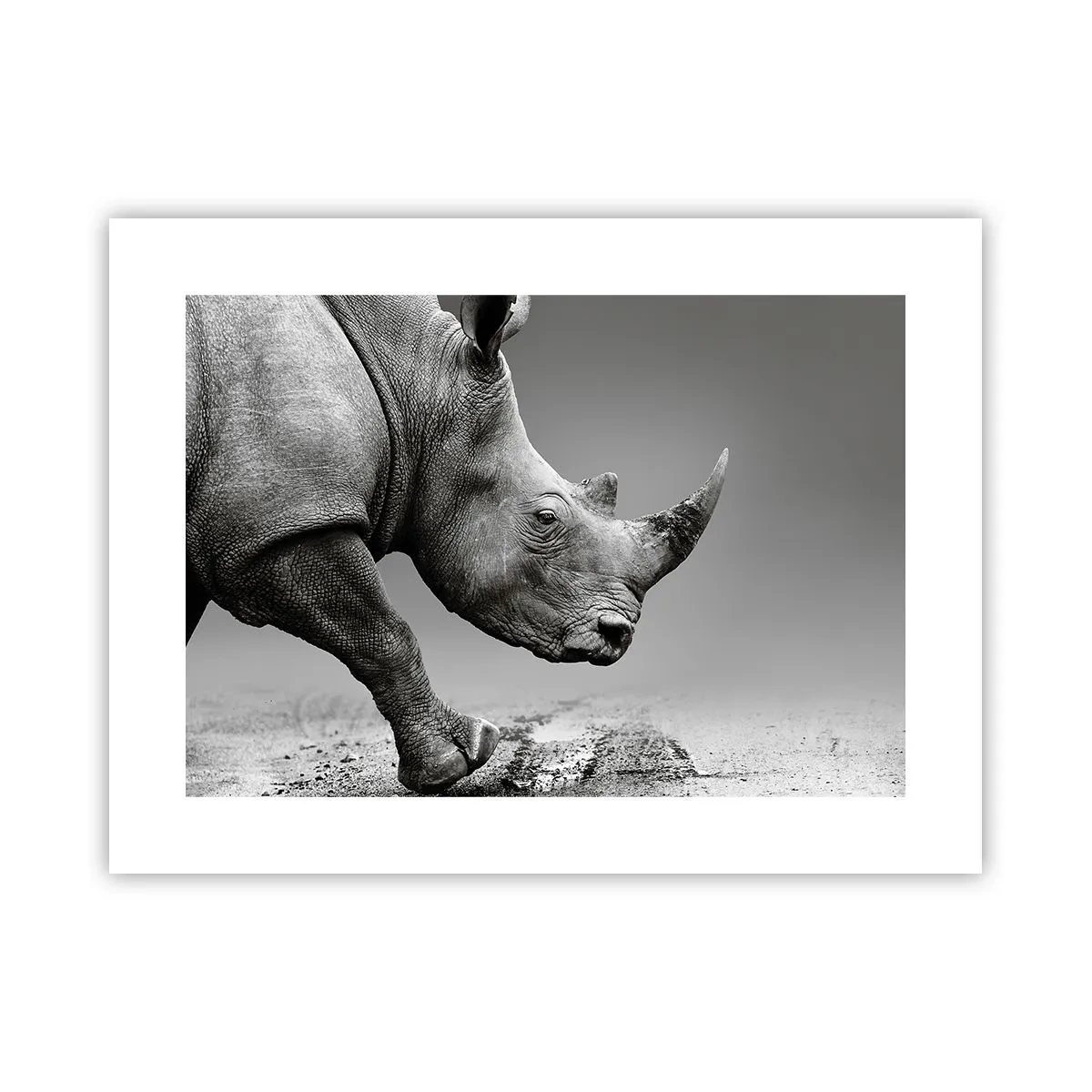 Póster - Fuerza imparable - 40x30 cm