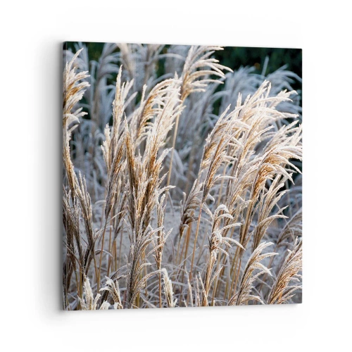 Cuadro sobre lienzo - Impresión de Imagen - Campos y campos - 70x70 cm