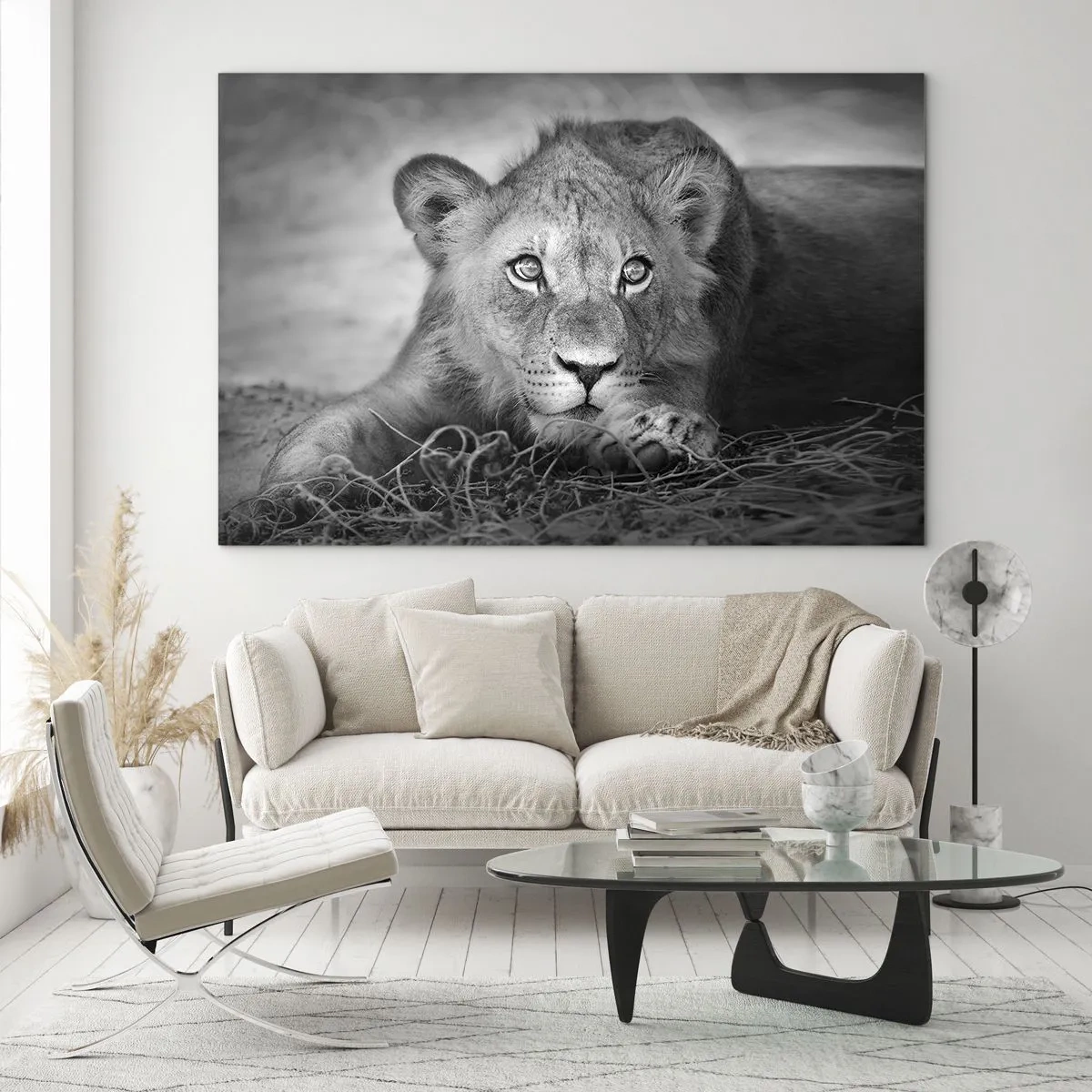 Cuadro sobre vidrio - Impresiones sobre Vidrio - Un cachorro de león en blanco y negro mirando a la cámara. - 70x50cm - Un cachorro real - Decoración de pared moderna para salón y dormitorio ARTTOR