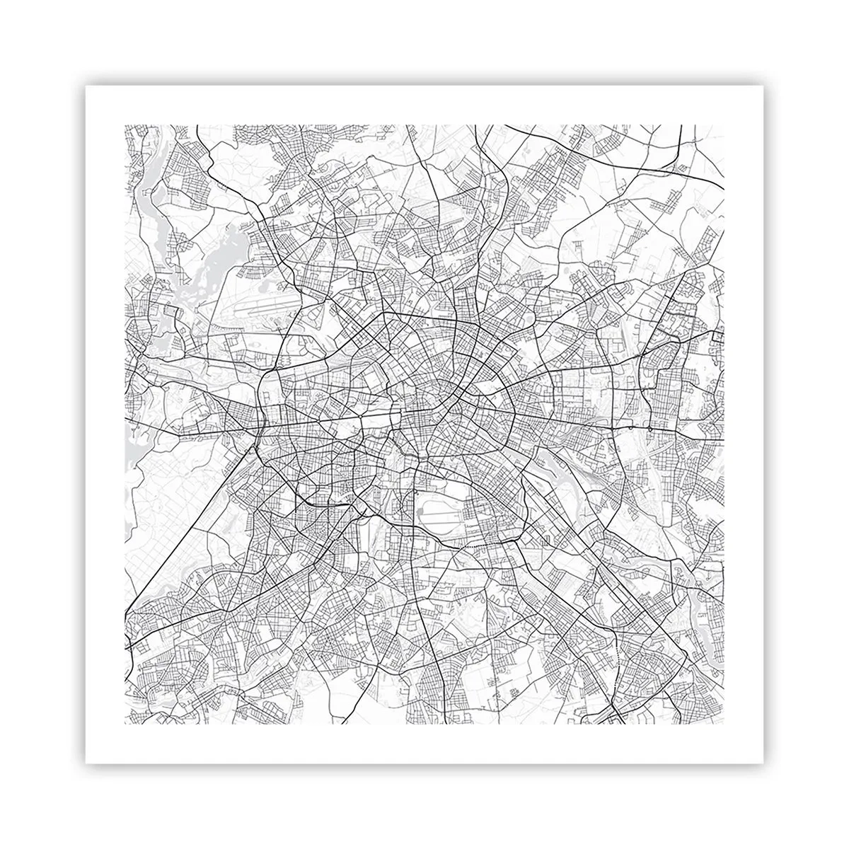 Póster - Flor de Berlín - 60x60 cm