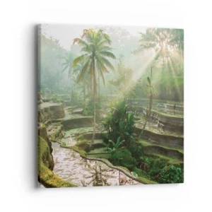 Cuadro sobre lienzo - Impresión de Imagen - Crecer bajo el sol - 40x40 cm