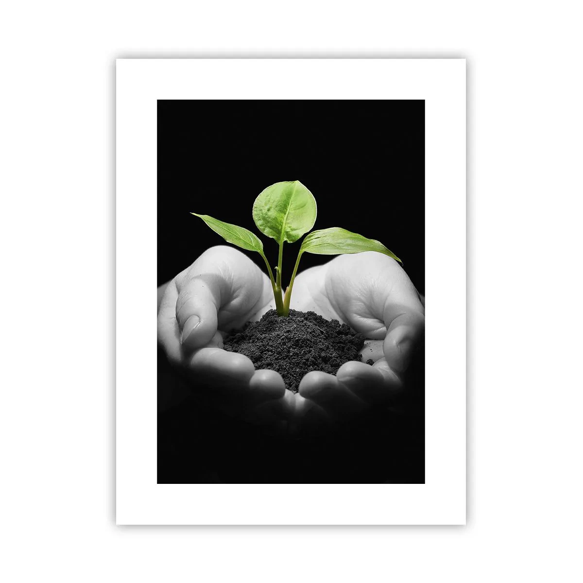 Póster - Amo la naturaleza, la protejo - 30x40 cm