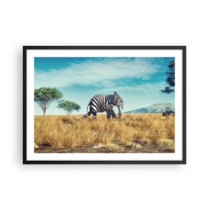 Póster en marco negro - Cebra en un paisaje africano - 70x50cm - El gris ya no está de moda - Decoración de pared moderna para salón y dormitorio ARTTOR