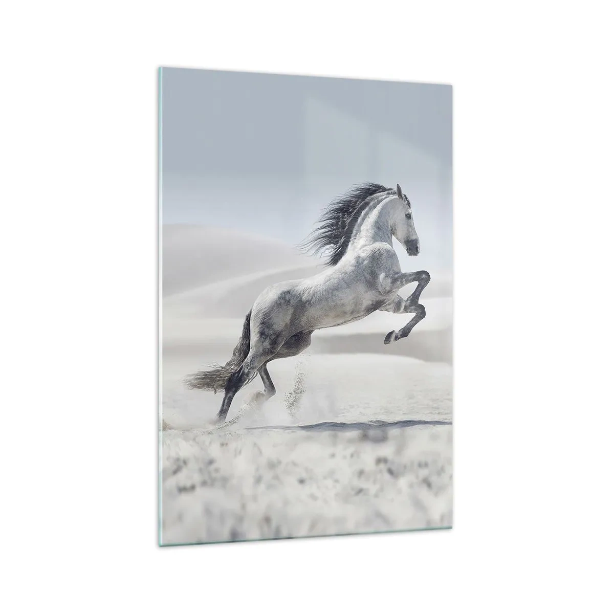 Cuadro sobre vidrio - Impresiones sobre Vidrio - Un caballo blanco galopando con las dunas del desierto como telón de fondo. - 70x100cm - Un príncipe árabe - Decoración de pared moderna para salón y dormitorio ARTTOR