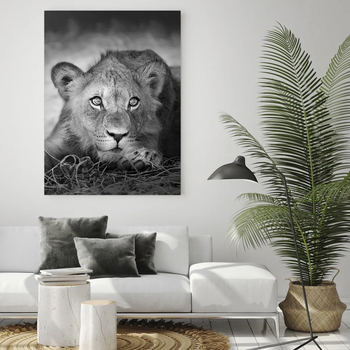 Cuadro sobre vidrio - Impresiones sobre Vidrio - Un cachorro de león en blanco y negro mirando a la cámara. - 50x70cm - Un cachorro real - Decoración de pared moderna para salón y dormitorio ARTTOR