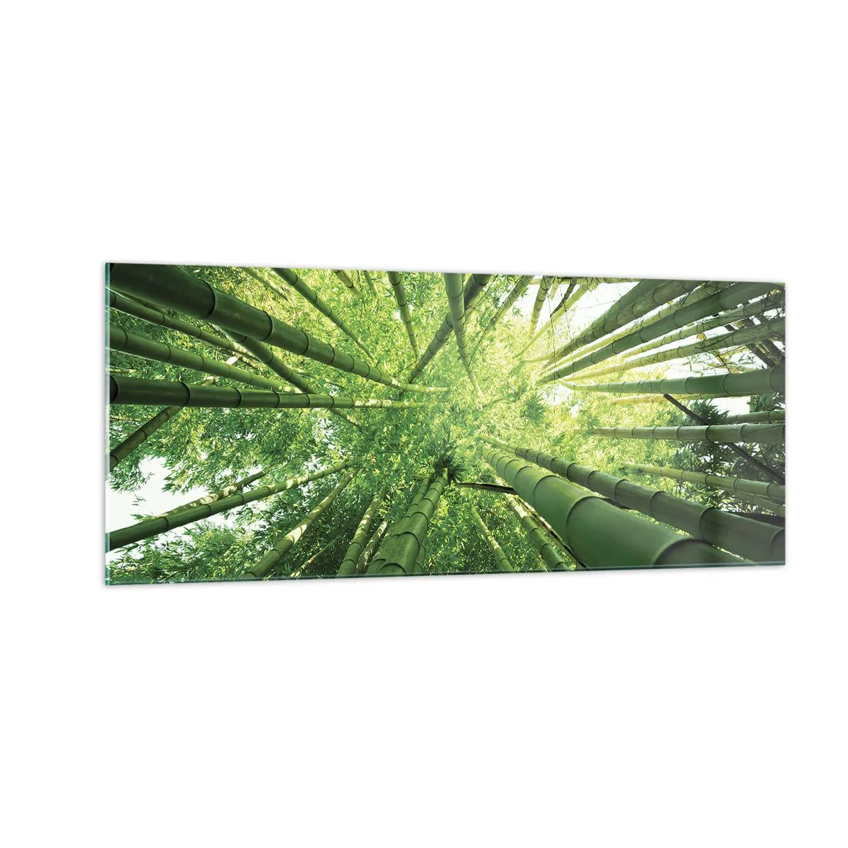 Cuadro sobre vidrio - Impresiones sobre Vidrio - En un bosquecillo de bambú - 100x40 cm