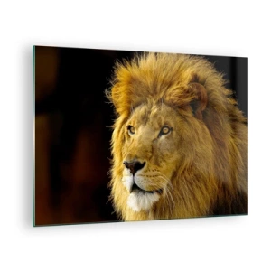 Cuadro sobre vidrio - Impresiones sobre Vidrio - Retrato de un león majestuoso sobre un fondo oscuro - 70x50cm - Retrato de un rey - Decoración de pared moderna para salón y dormitorio ARTTOR