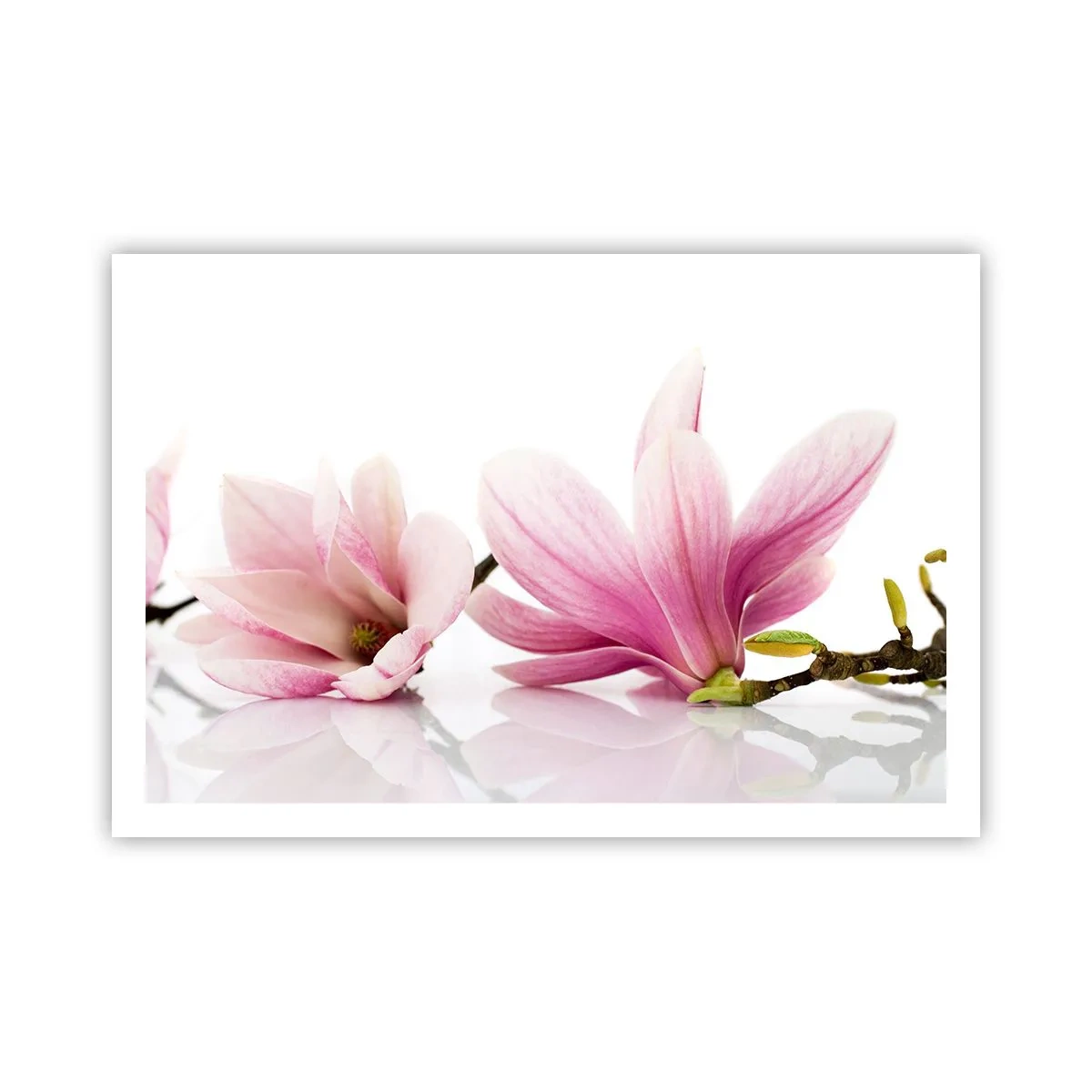 Póster - Suave como un soplo de primavera - 91x61 cm