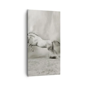 Cuadro sobre lienzo - Impresión de Imagen - Entre la realidad y el sueño - 55x100 cm
