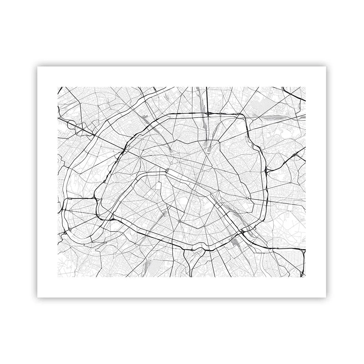 Póster - Flor de París - 50x40 cm