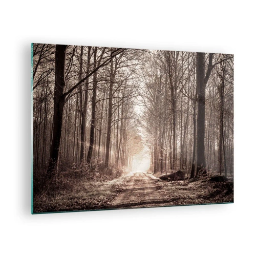Cuadro sobre vidrio - Impresiones sobre Vidrio - Camino forestal en la niebla matutina - 70x50cm - La catedral del bosque - Decoración de pared moderna para salón y dormitorio ARTTOR