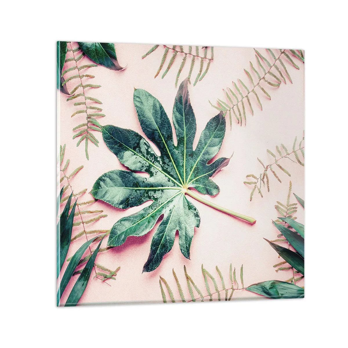 Cuadro sobre vidrio - Impresiones sobre Vidrio - Estudio de vegetación sobre fondo rosa - 50x50 cm