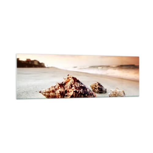 Cuadro sobre vidrio - Impresiones sobre Vidrio - Conchas en la playa al atardecer - 160x50cm - Los exiliados de las olas - Decoración de pared moderna para salón y dormitorio ARTTOR