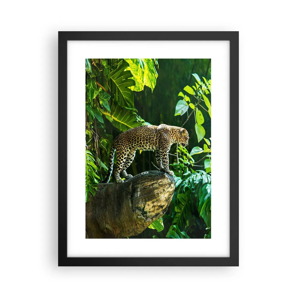 Póster en marco negro - ¿A la caza? - 30x40 cm