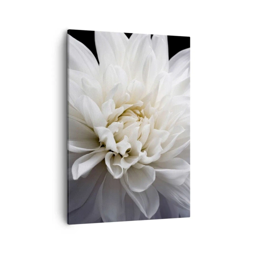 Cuadro sobre lienzo - Impresión de Imagen - Una delicada flor blanca sobre un fondo negro en una elegante composición. - 50x70cm - La novia de la mañana - Decoración de pared moderna para salón y dormitorio ARTTOR