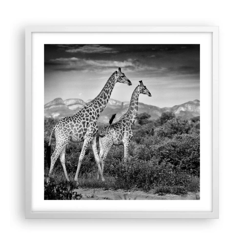 Póster en marco blanco - La clase alta de África - 50x50 cm