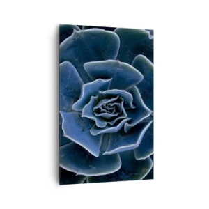 Cuadro sobre lienzo - Impresión de Imagen - Primer plano de una roseta suculenta verde - 80x120cm - Flor del desierto - Decoración de pared moderna para salón y dormitorio ARTTOR