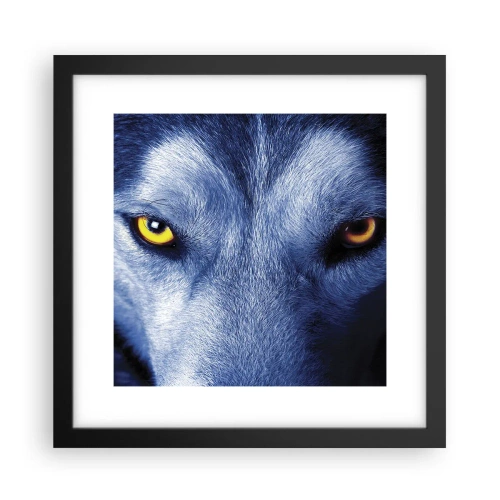 Póster en marco negro - La mirada hipnótica - 30x30 cm