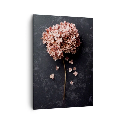 Cuadro sobre lienzo - Impresión de Imagen - Una delicada flor de hortensia sobre un fondo oscuro. - 50x70cm - Un signo verdaderamente romántico - Decoración de pared moderna para salón y dormitorio ARTTOR