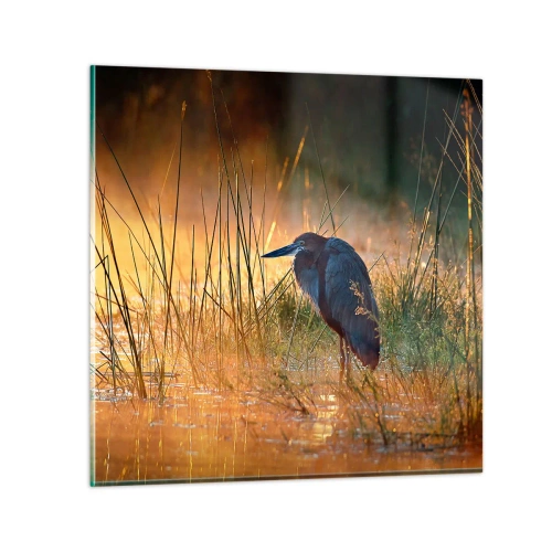 Cuadro sobre vidrio - Impresiones sobre Vidrio - Dame un respiro con estas fotos - 50x50 cm