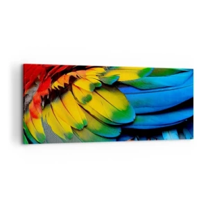 Cuadro sobre lienzo - Impresión de Imagen - Un primer plano de las coloridas plumas de un loro. - 120x50cm - Ave del paraíso - Decoración de pared moderna para salón y dormitorio ARTTOR