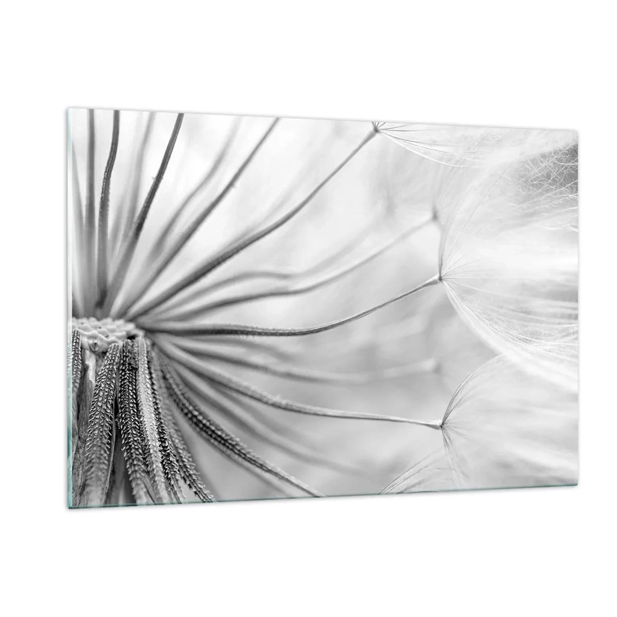Cuadro sobre vidrio - Impresiones sobre Vidrio - Fotografía macro de un diente de león en tonos blanco y negro. - 120x80cm - Caricias del viento - Decoración de pared moderna para salón y dormitorio ARTTOR