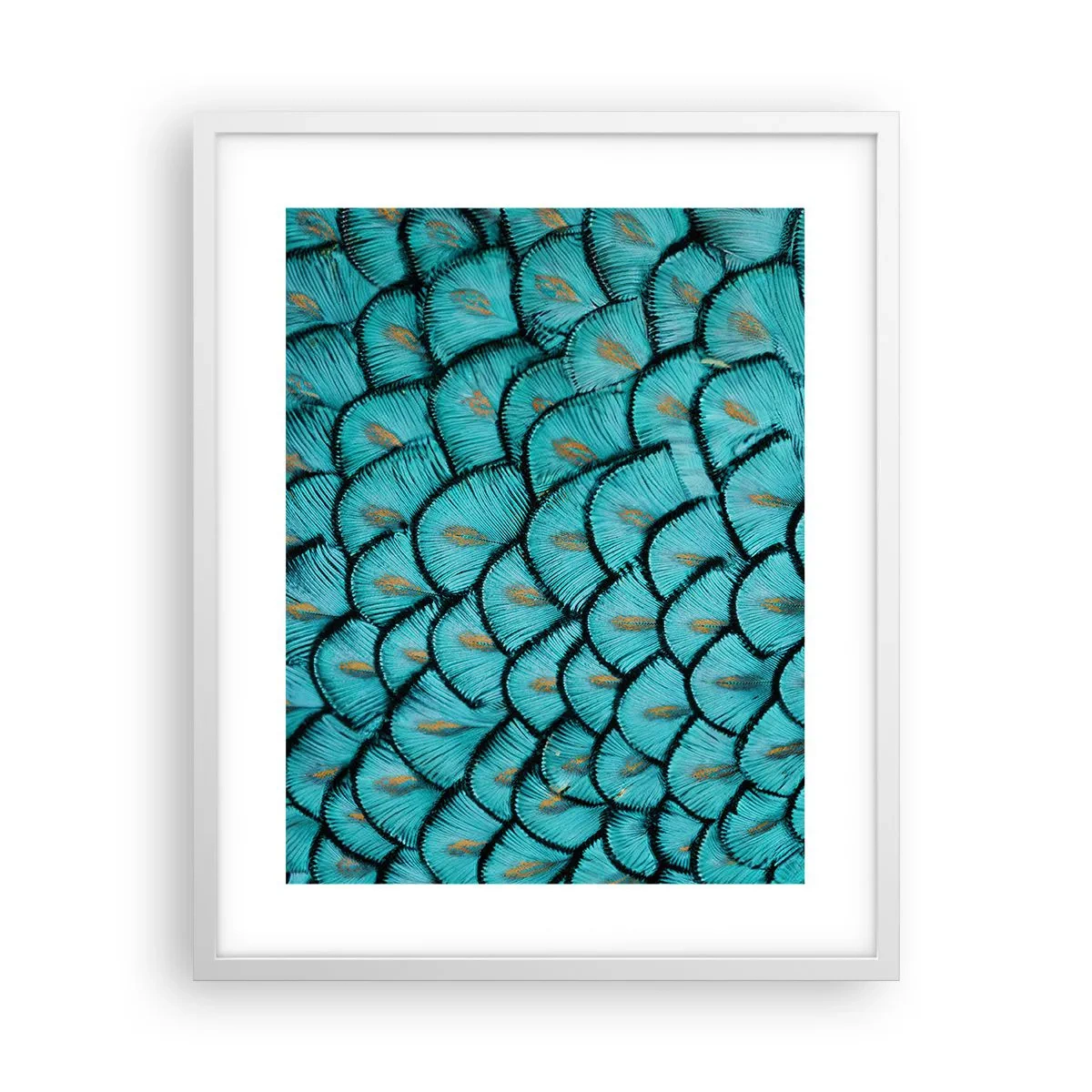 Póster en marco blanco - La gran gala de las plumas - 40x50 cm