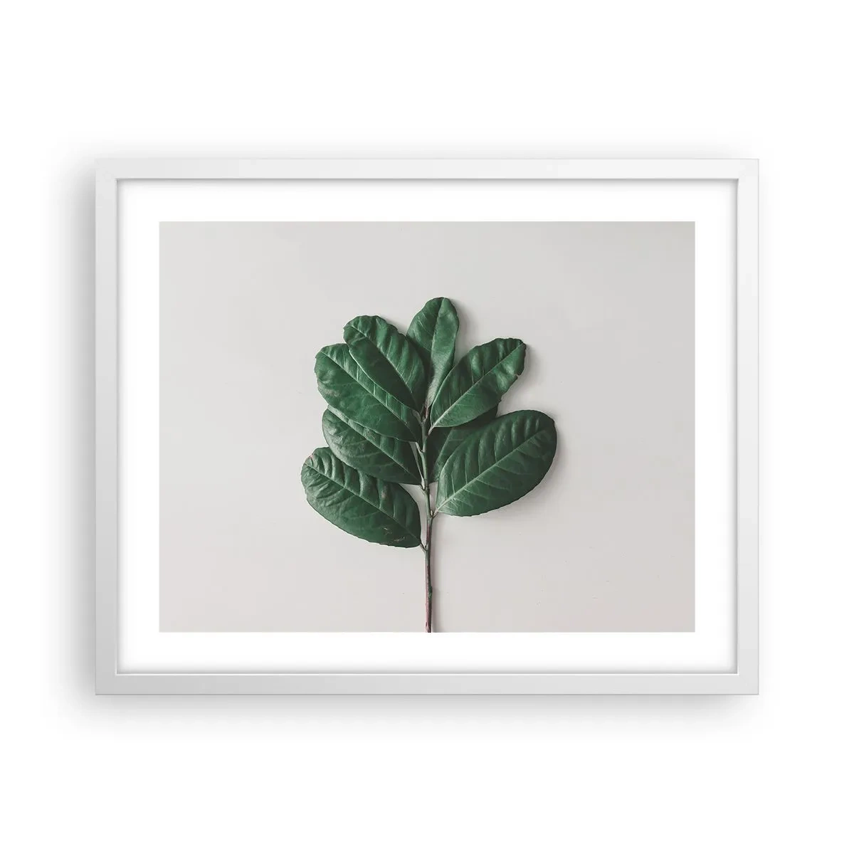 Póster en marco blanco - El dibujo de la propia naturaleza - 50x40 cm