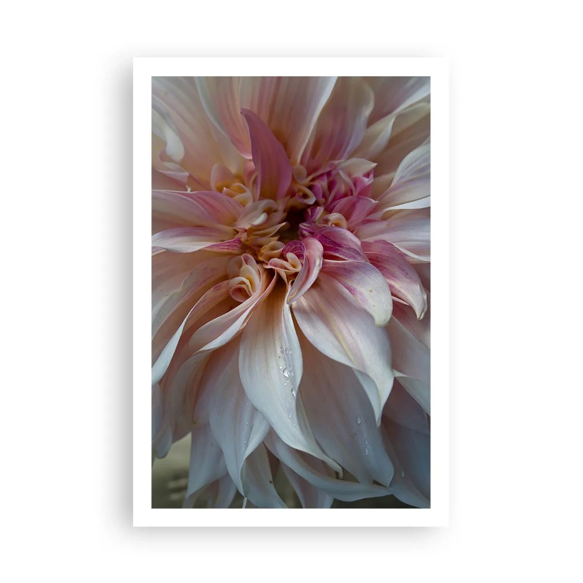 Póster - Frescura floreciente - 61x91 cm