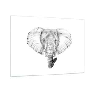 Cuadro sobre vidrio - Impresiones sobre Vidrio - Dibujo en blanco y negro de la cabeza de un elefante sobre un fondo blanco. - 100x70cm - Érase una vez un elefante... - Decoración de pared moderna para salón y dormitorio ARTTOR