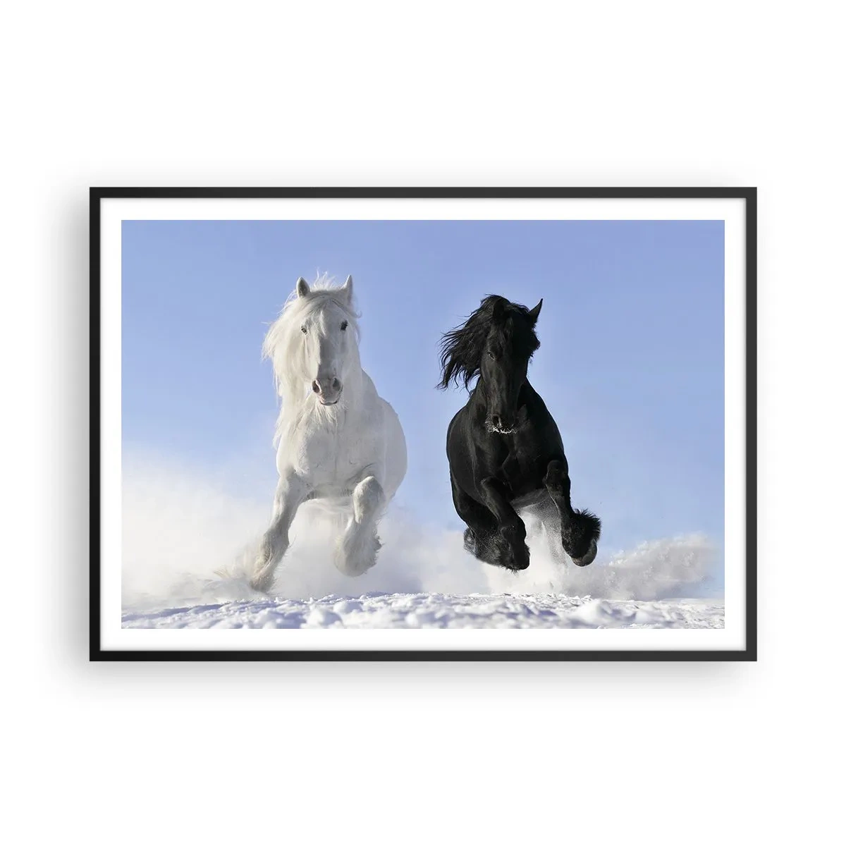 Póster en marco negro - Un caballo blanco y uno negro galopando por la nieve. - 100x70cm - Galope blanco y negro - Decoración de pared moderna para salón y dormitorio ARTTOR