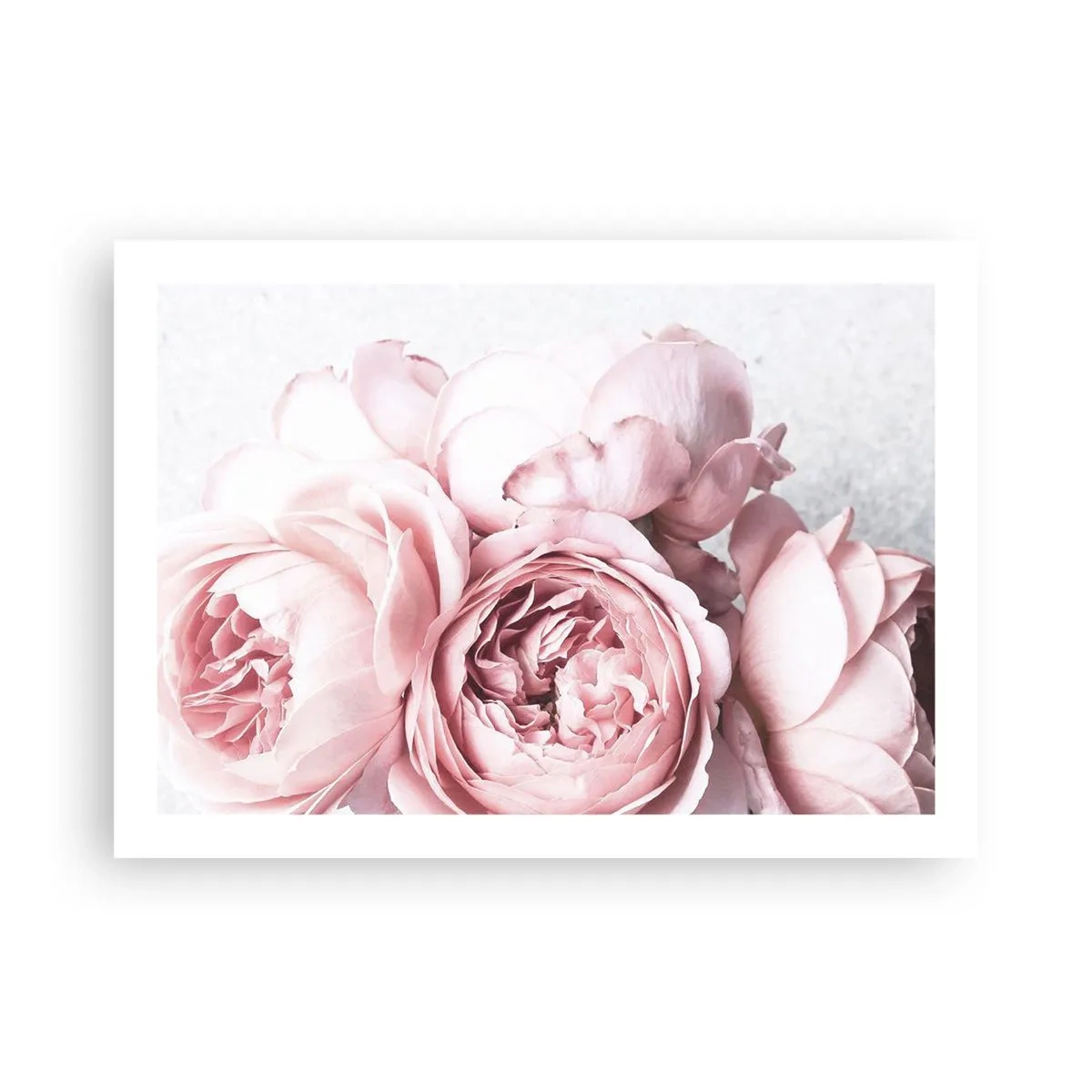 Póster - Para los románticos - 70x50 cm
