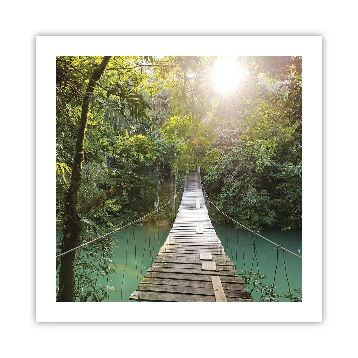 Póster - Sobre el agua azul hacia el bosque - 50x50 cm