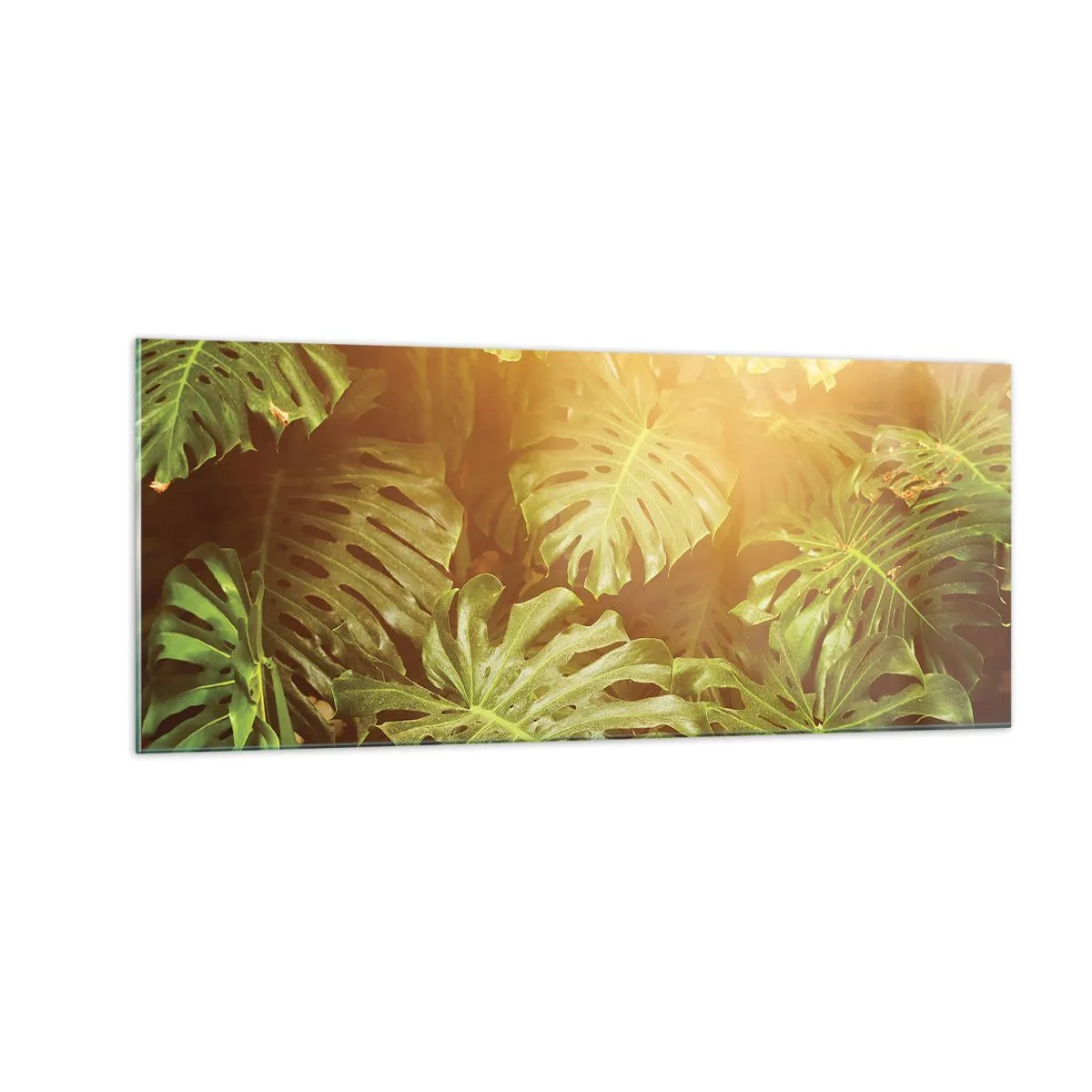 Cuadro sobre vidrio - Impresiones sobre Vidrio - Hacia el verdor... - 100x40 cm