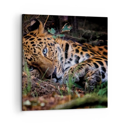 Cuadro sobre lienzo - Impresión de Imagen - Confía en mí - 50x50 cm