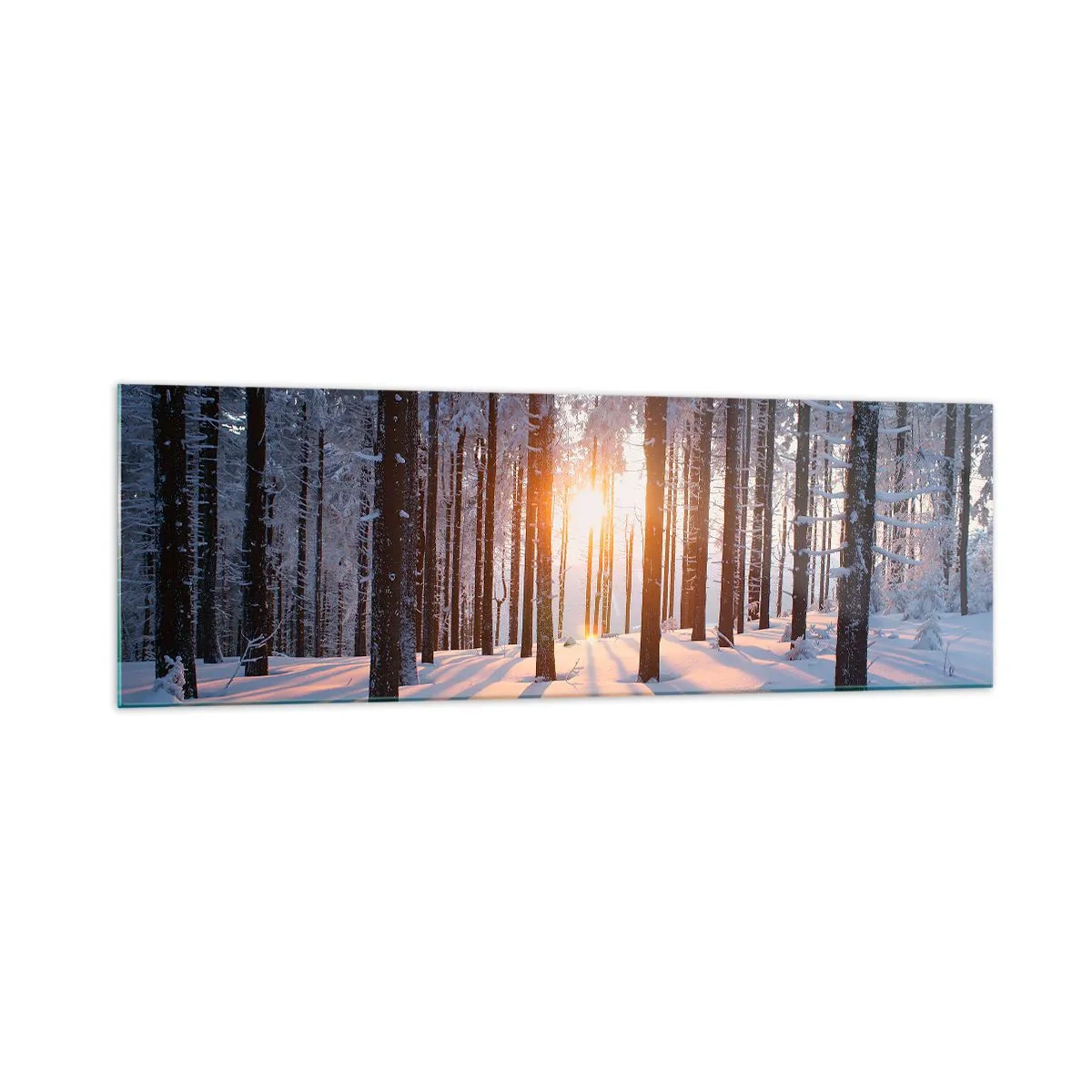Cuadro sobre vidrio - Impresiones sobre Vidrio - Bosque invernal iluminado por los rayos del sol. - 160x50cm - Claramente en blanco y negro - Decoración de pared moderna para salón y dormitorio ARTTOR