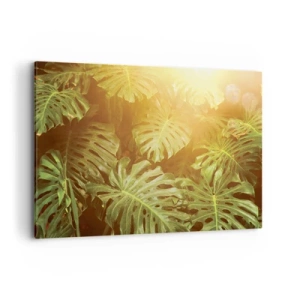 Cuadro sobre lienzo - Impresión de Imagen - Hojas de monstera a la luz del sol sobre un fondo natural. - 120x80cm - Hacia el verdor... - Decoración de pared moderna para salón y dormitorio ARTTOR