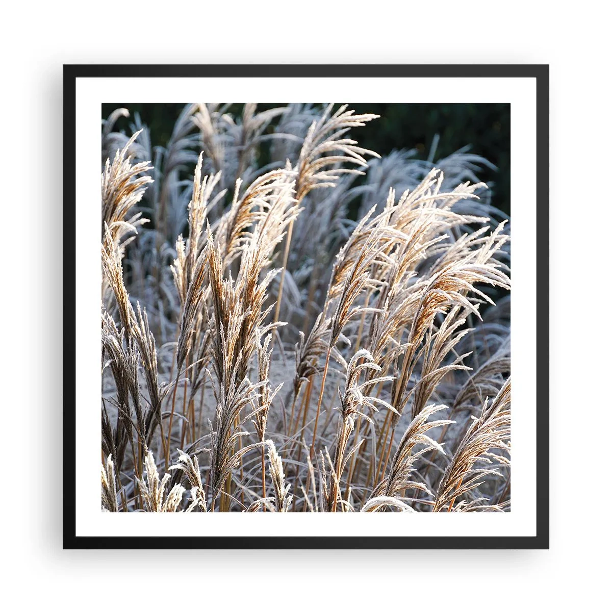 Póster en marco negro - Campos y campos - 60x60 cm