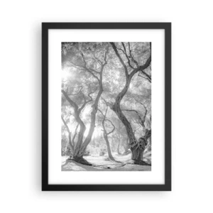 Póster en marco negro - En un olivar - 30x40 cm