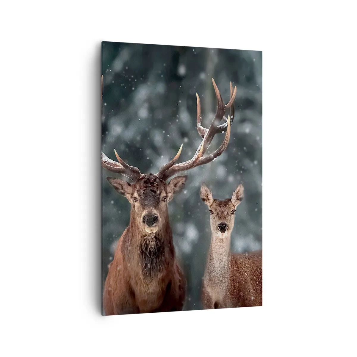 Cuadro sobre lienzo - Impresión de Imagen - Ciervos en un bosque invernal cubierto de nieve - 80x120cm - El señor y la señora del bosque - Decoración de pared moderna para salón y dormitorio ARTTOR