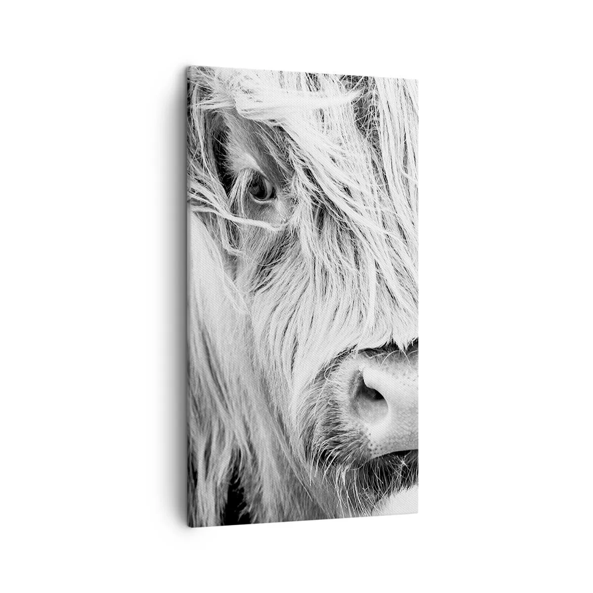 Cuadro sobre lienzo - Impresión de Imagen - La naturaleza escocesa - 45x80 cm