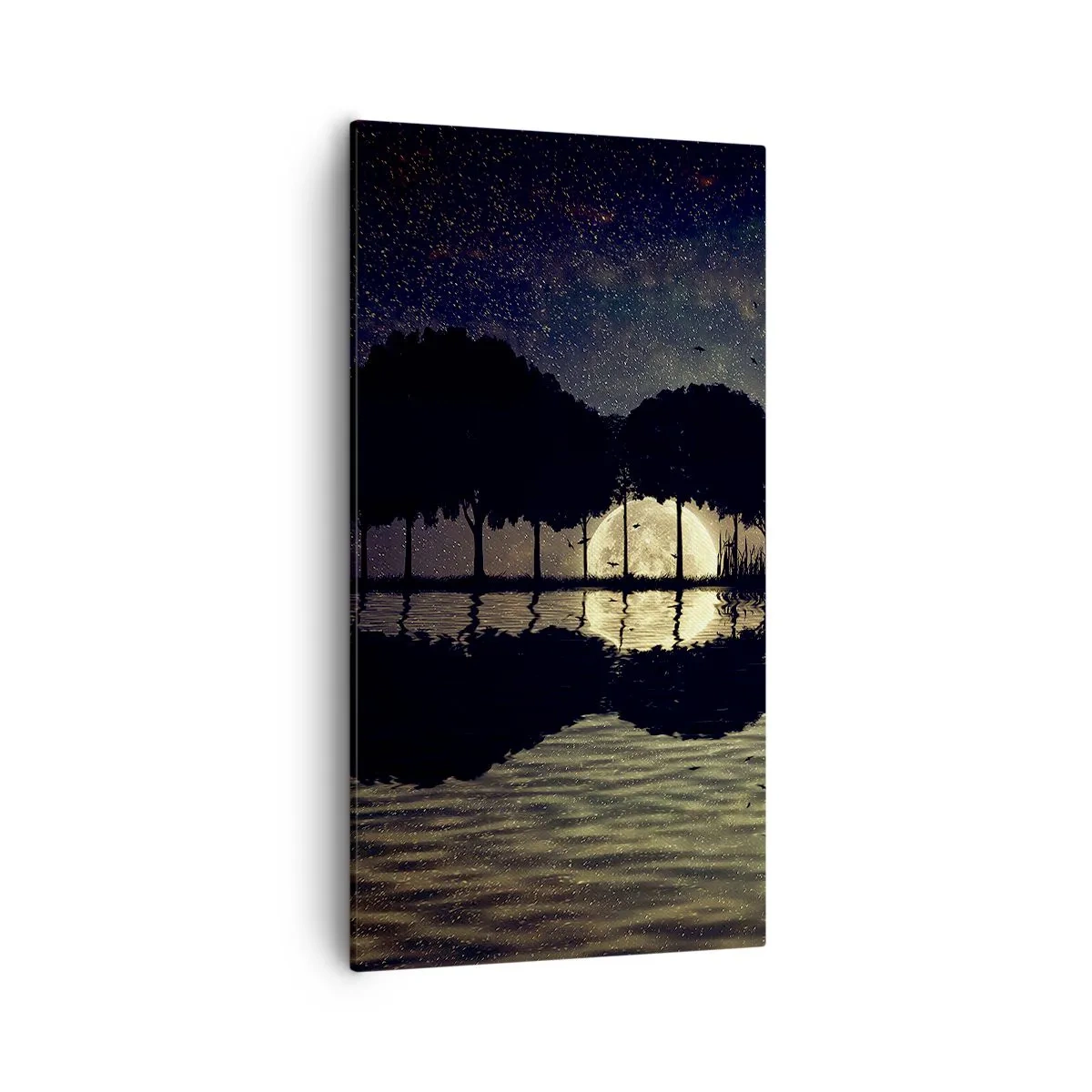 Cuadro sobre lienzo - Impresión de Imagen - Noche en el fin del mundo - 55x100 cm