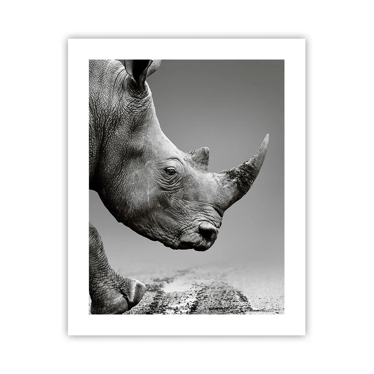 Póster - Fuerza imparable - 40x50 cm