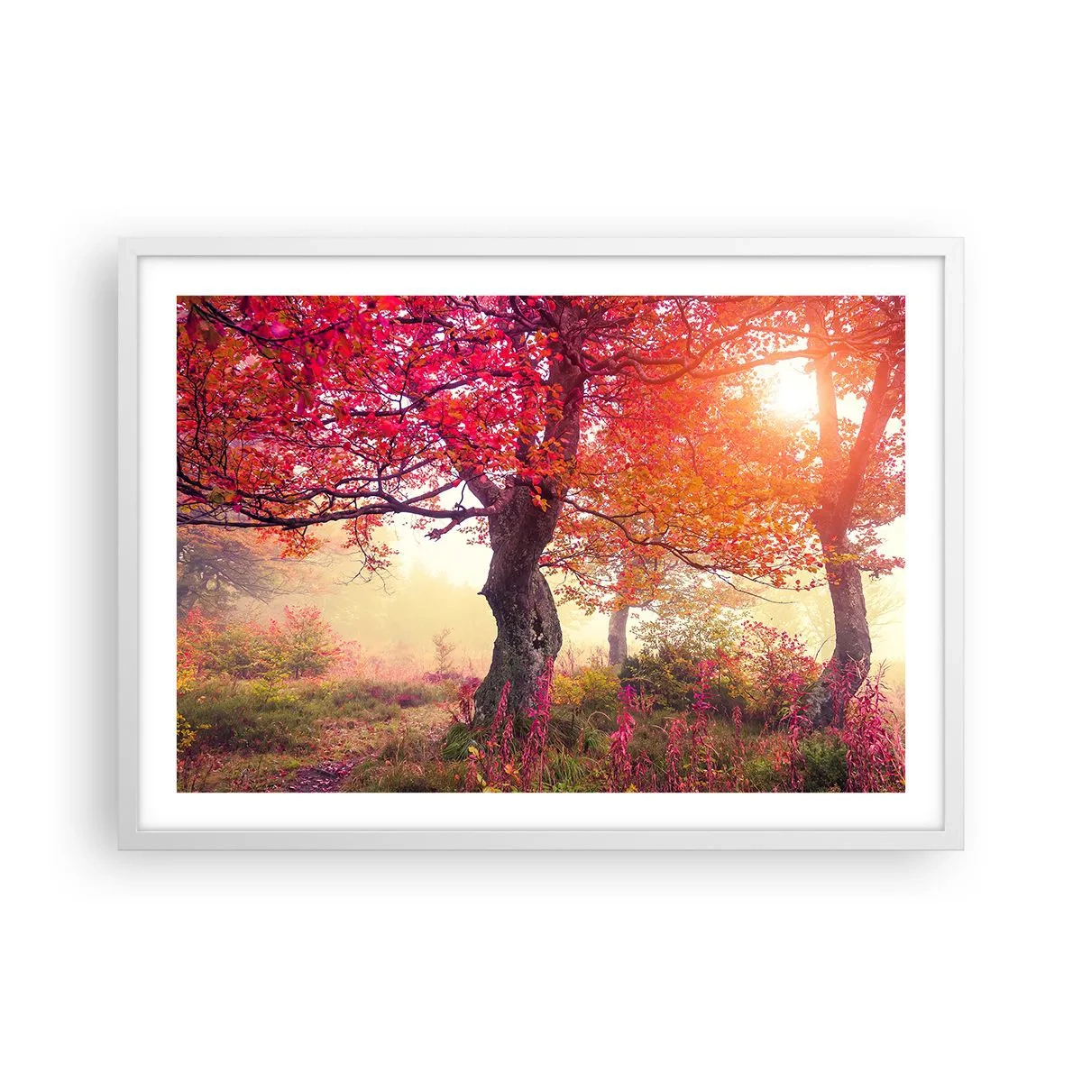 Póster en marco blanco - Un frenesí de floración - 70x50 cm