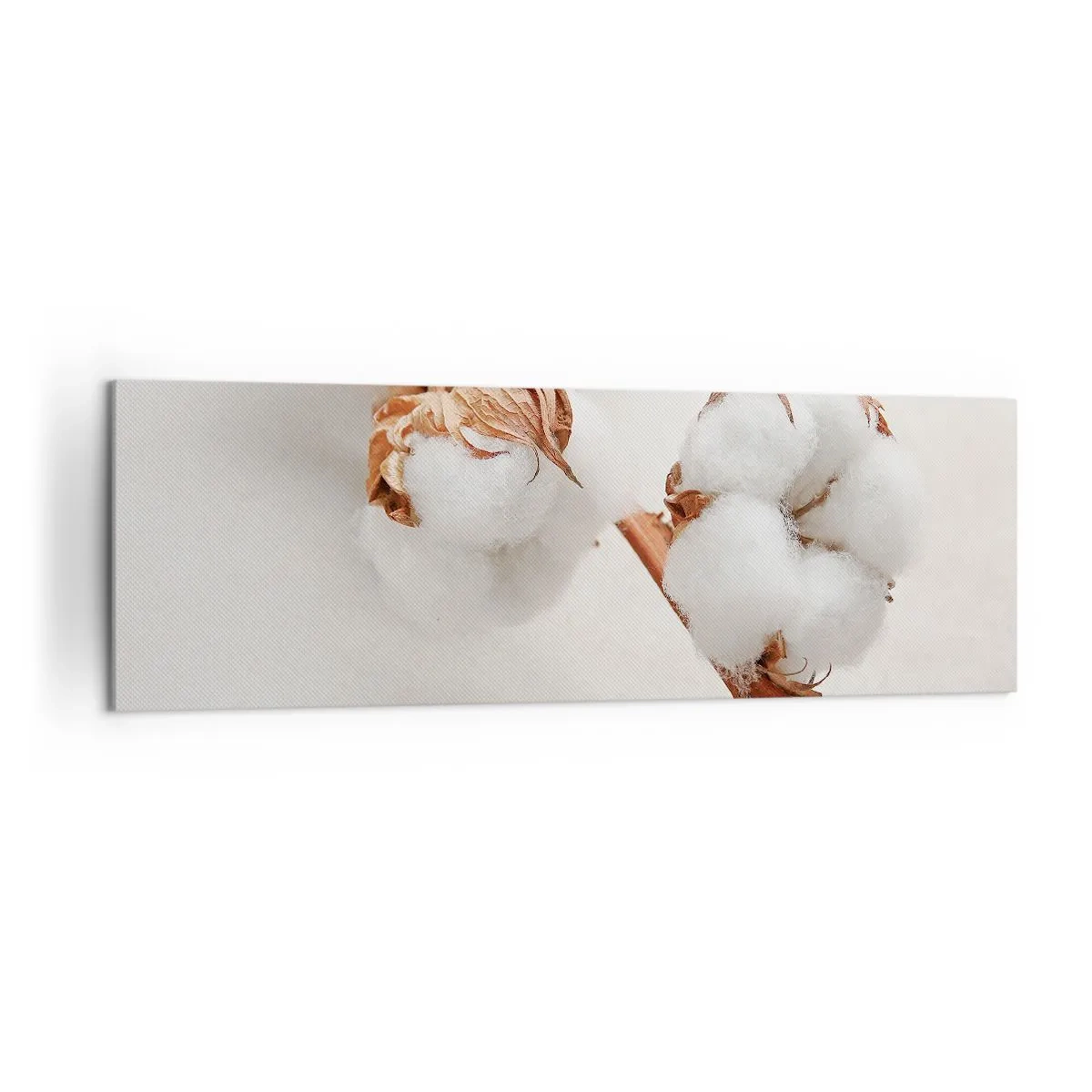 Cuadro sobre lienzo - Impresión de Imagen - Una ramita de algodón sobre un fondo sutil. - 160x50cm - Un suave tacto - Decoración de pared moderna para salón y dormitorio ARTTOR