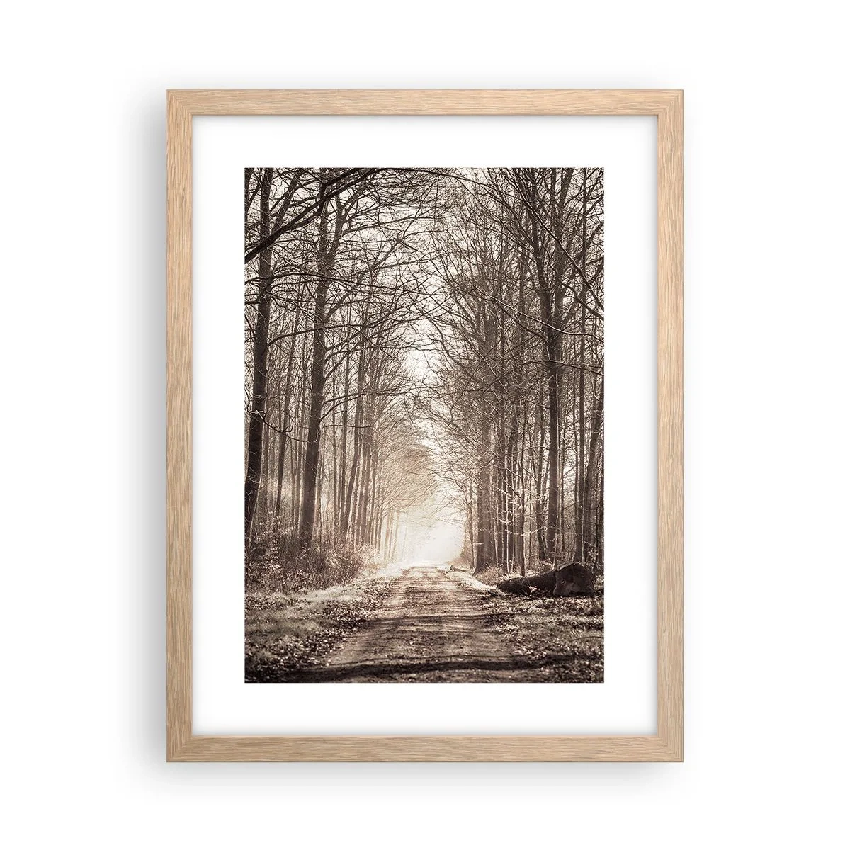 Póster en marco roble claro - La catedral del bosque - 30x40 cm