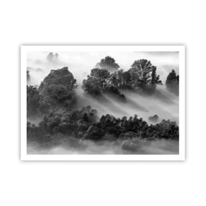 Póster - Paisaje forestal en blanco y negro en la niebla matutina - 100x70cm - Levantarse del sueño - Decoración de pared moderna para salón y dormitorio ARTTOR