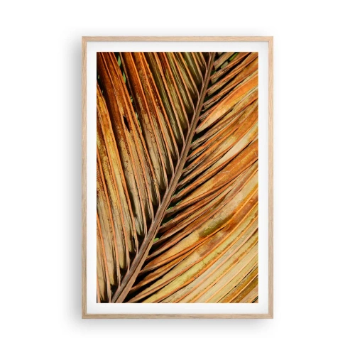 Póster en marco roble claro - Oro de coco - 61x91 cm