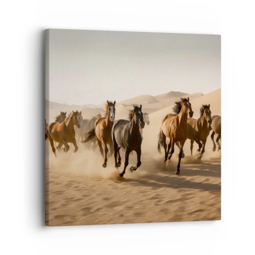 Cuadro sobre lienzo - Impresión de Imagen - Libre como el viento - 30x30 cm