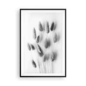 Póster en marco negro - Esponjas naturales - 61x91 cm